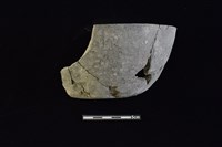 藏品(陶缽)的圖片